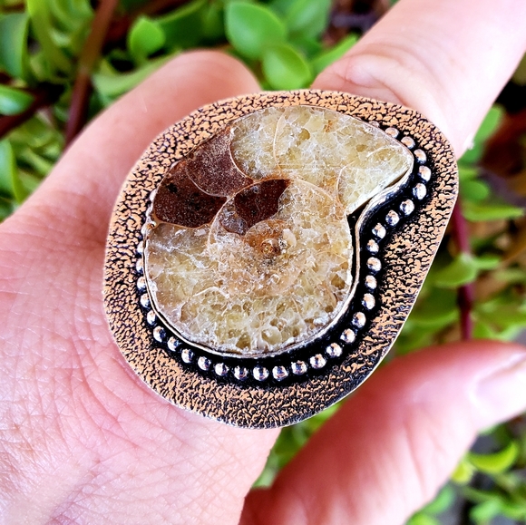 New Unique Oversized Ammonite 925 Silver Ring. - Picture 5 of 13